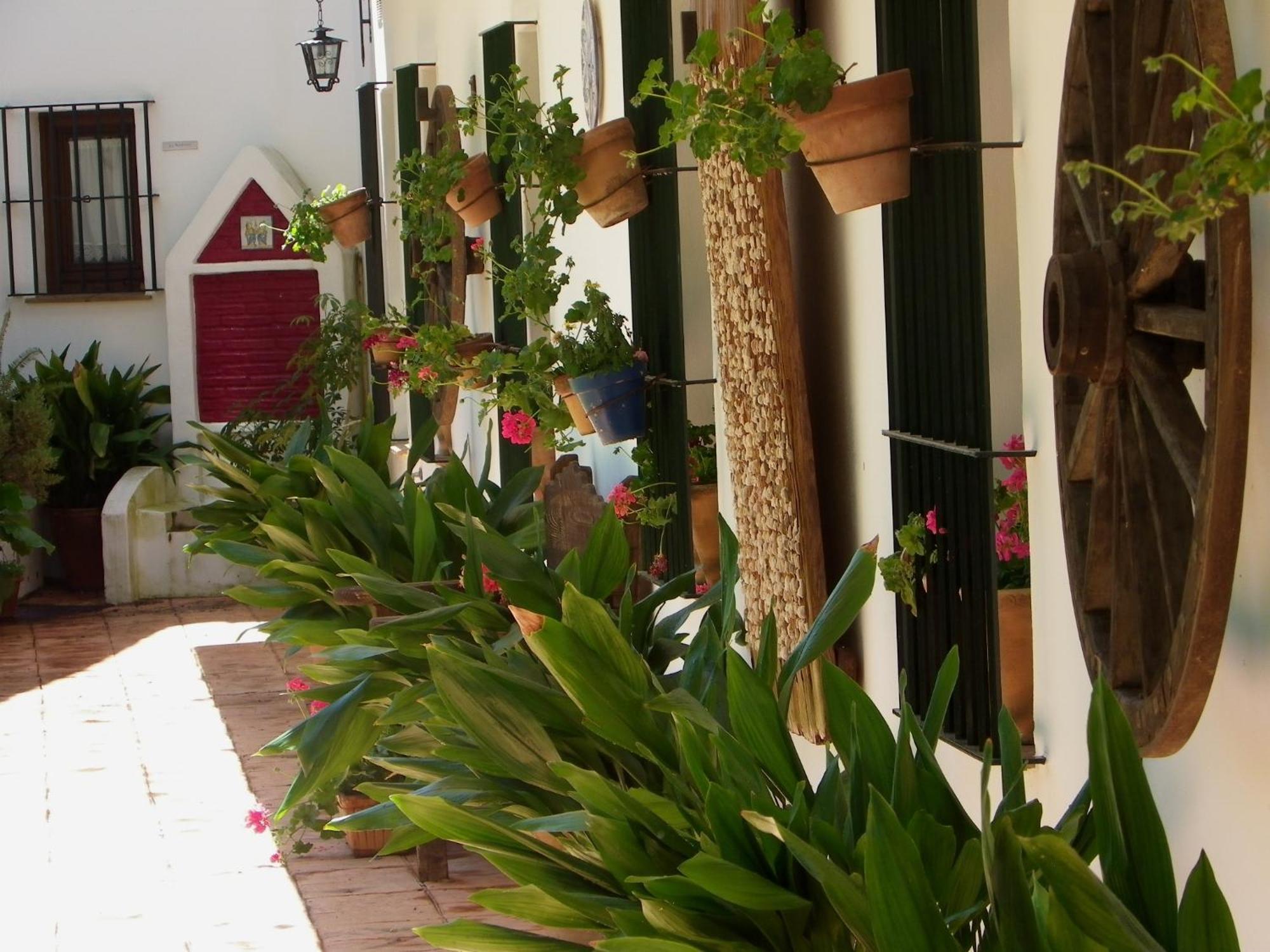 Hotel Apartamento Rural Finca La Media Legua 아레세나 외부 사진