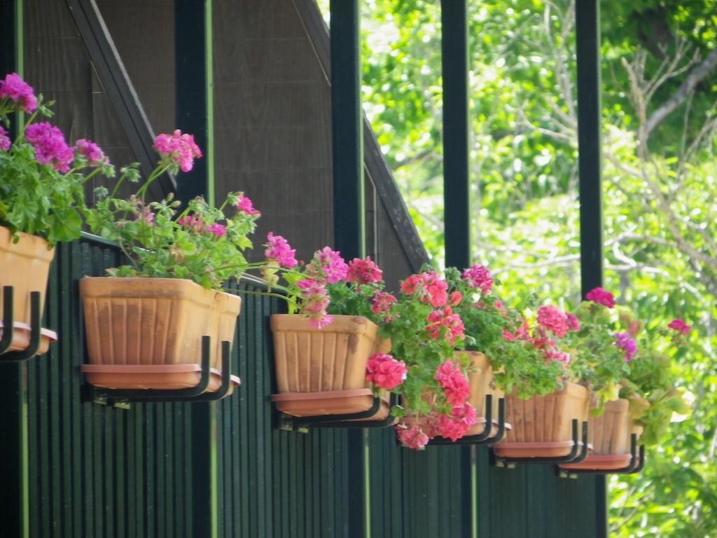 Hotel Apartamento Rural Finca La Media Legua 아레세나 외부 사진