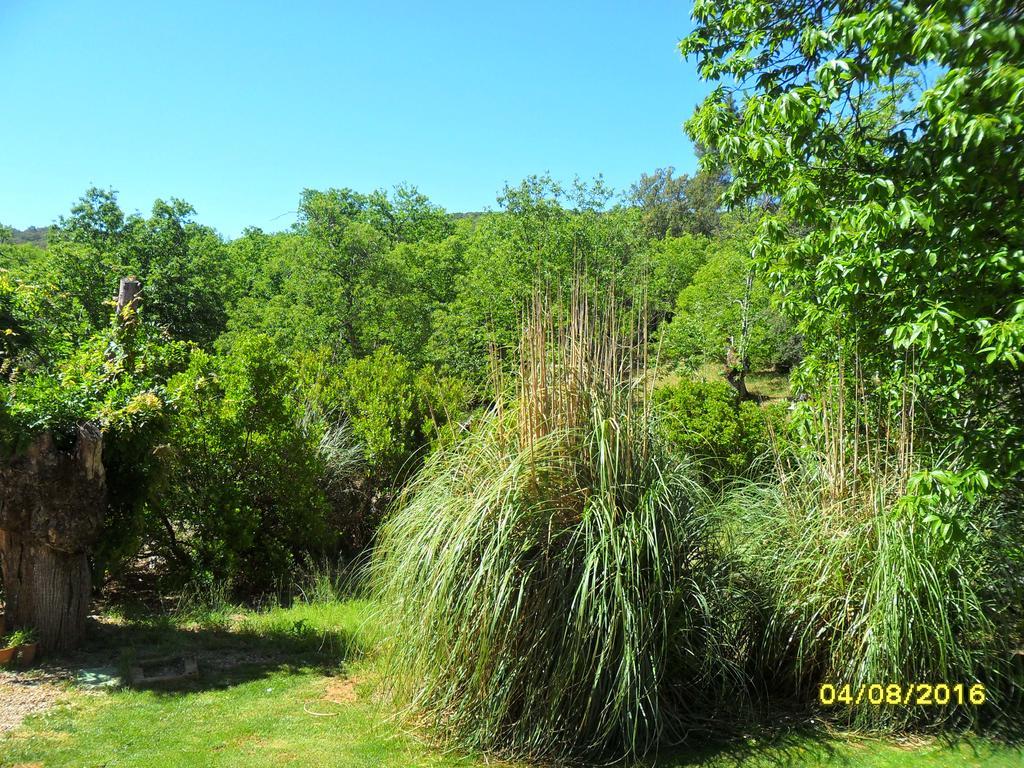 Hotel Apartamento Rural Finca La Media Legua 아레세나 외부 사진